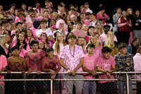 DVH_hc_11