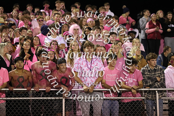 DVH_hc_11