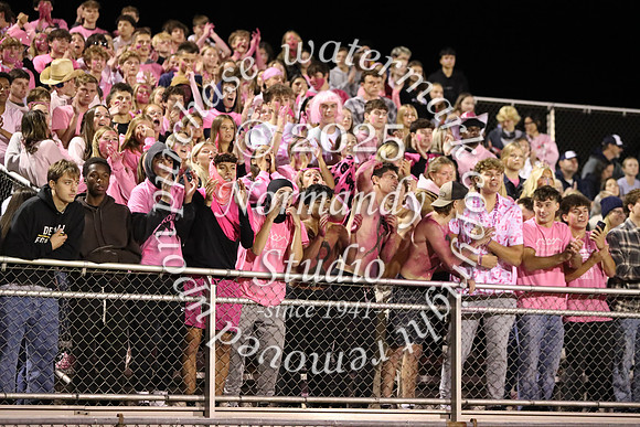 DVH_hc_15