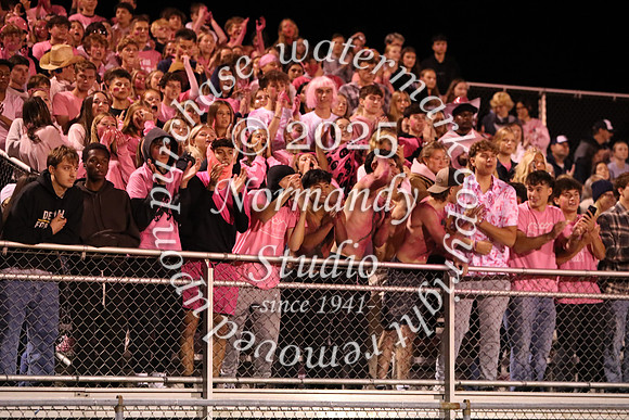 DVH_hc_16