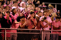 DVH_hc_17