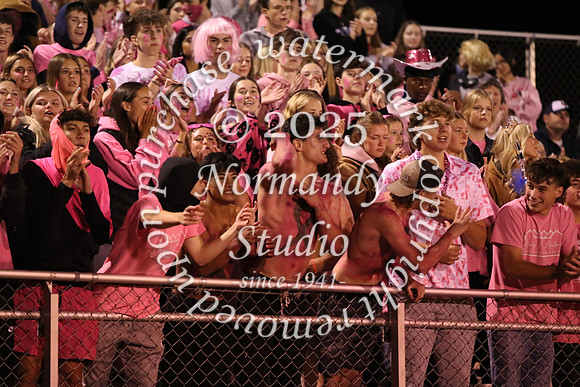 DVH_hc_17