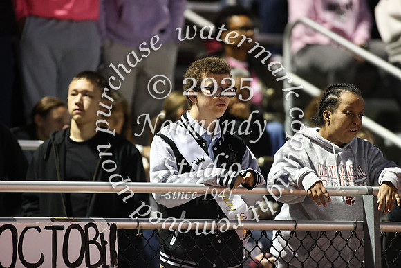 MAT_fans_12