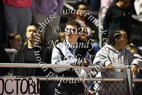 MAT_fans_13