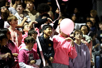 MAT_fans_20