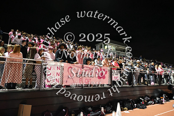 MAT_fans_22
