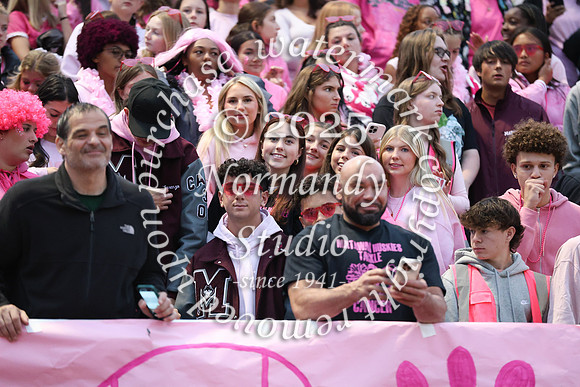 MAT_fans_41