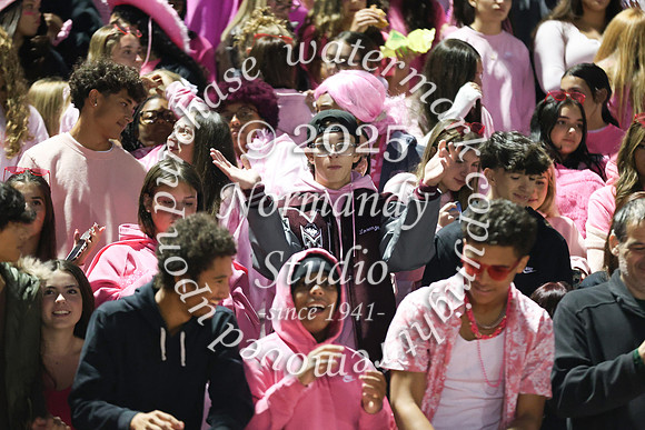 MAT_fans_60