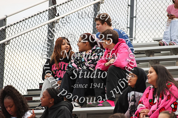 MAT_fans_65
