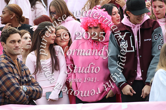 MAT_fans_66