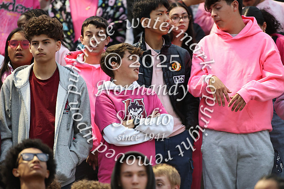 MAT_fans_03