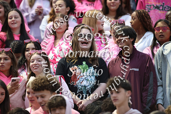 MAT_fans_04