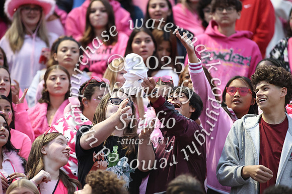 MAT_fans_06