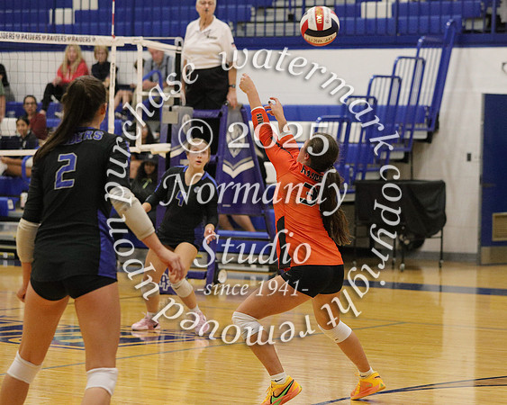 SPF_vb-g_32