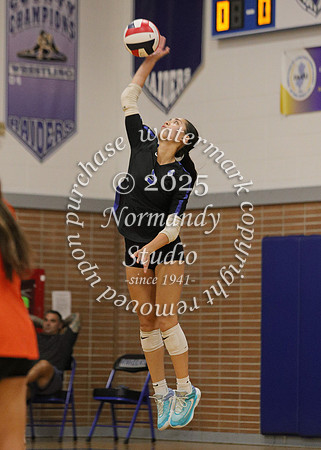 SPF_vb-g_44