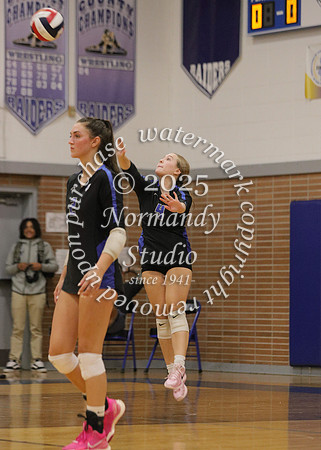 SPF_vb-g_41