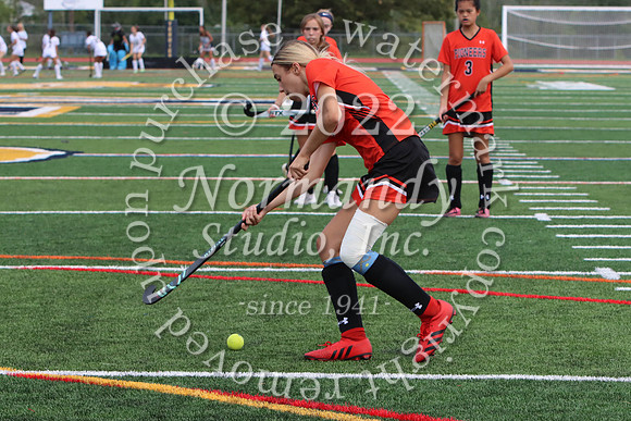 SVL_fh-j_20