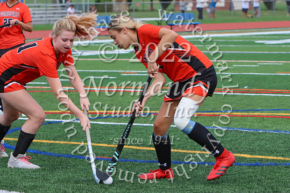 SVL_fh-j_33