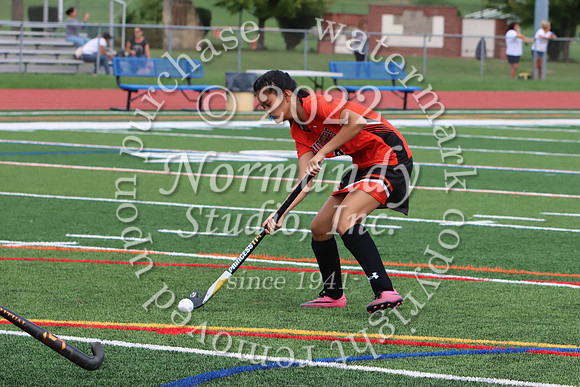 SVL_fh-j_06