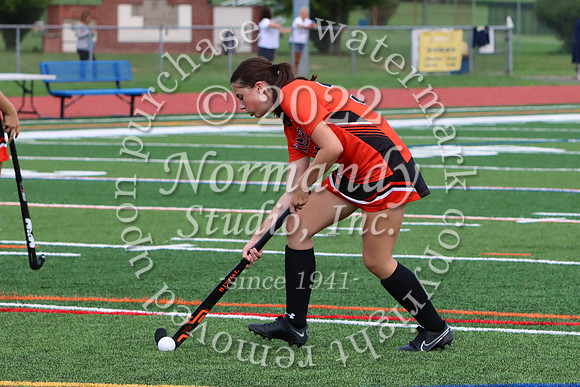 SVL_fh-j_10