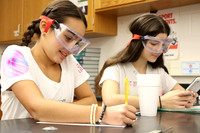 WHS_slc_017