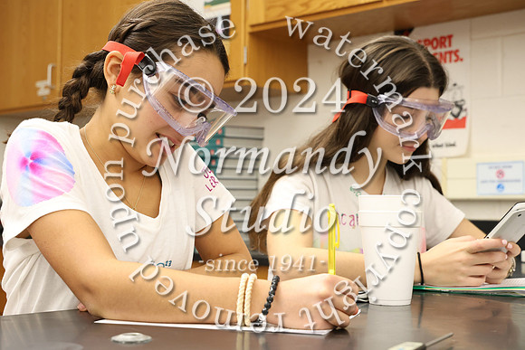 WHS_slc_017