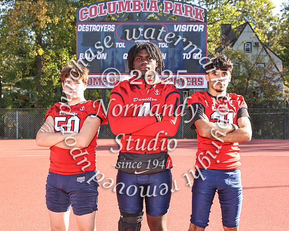 DHS_fb-t_15
