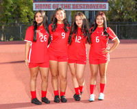 DHS_so-g-t_05