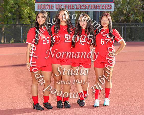 DHS_so-g-t_05