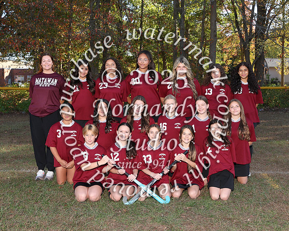 MMS_fh-t_01