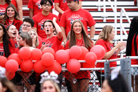LIB_fb-fans_12