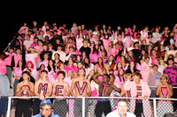 SVL_fans_10