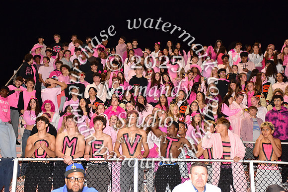 SVL_fans_10