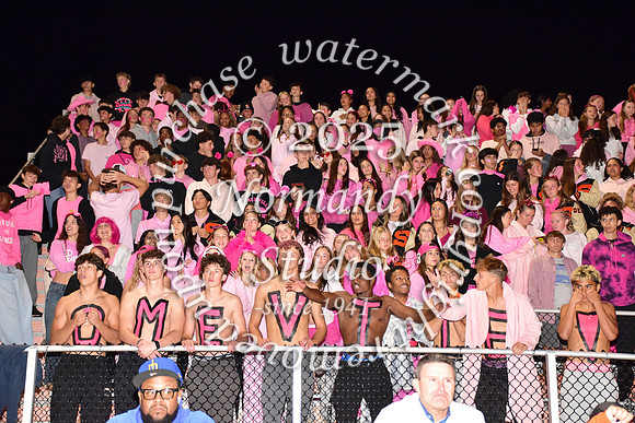 SVL_fans_09