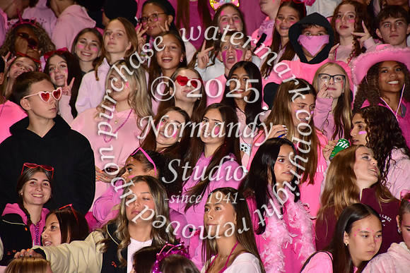 SVL_fans_15