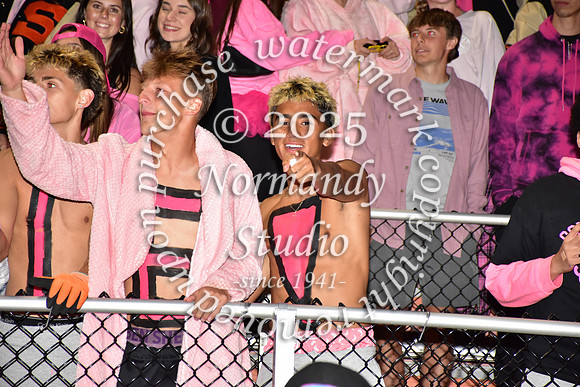 SVL_fans_11