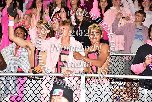 SVL_fans_12