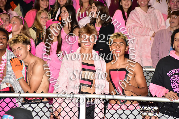SVL_fans_14