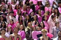 SVL_fans_05