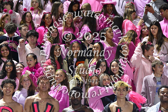 SVL_fans_05