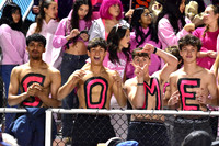 SVL_fans_04