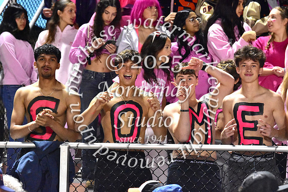 SVL_fans_04