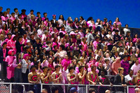 SVL_fans_01