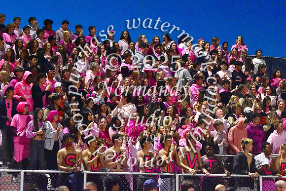 SVL_fans_01