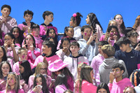 SVL_fans_07