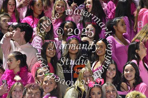 SVL_fans_06