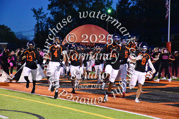 SVL_fb_15