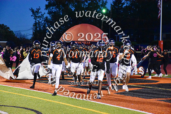 SVL_fb_14