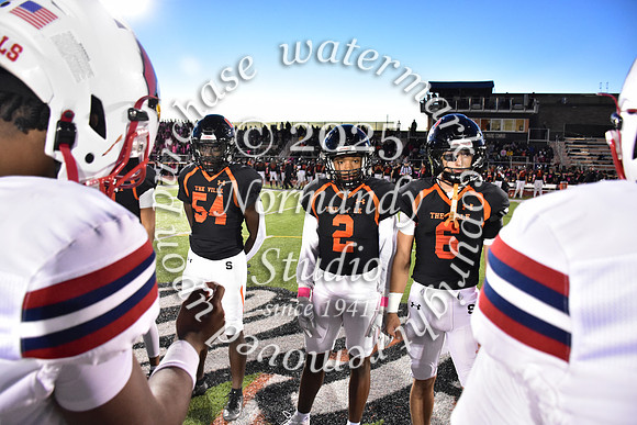 SVL_fb_45