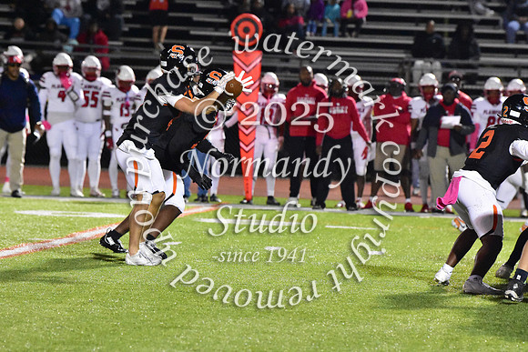 SVL_fb_66